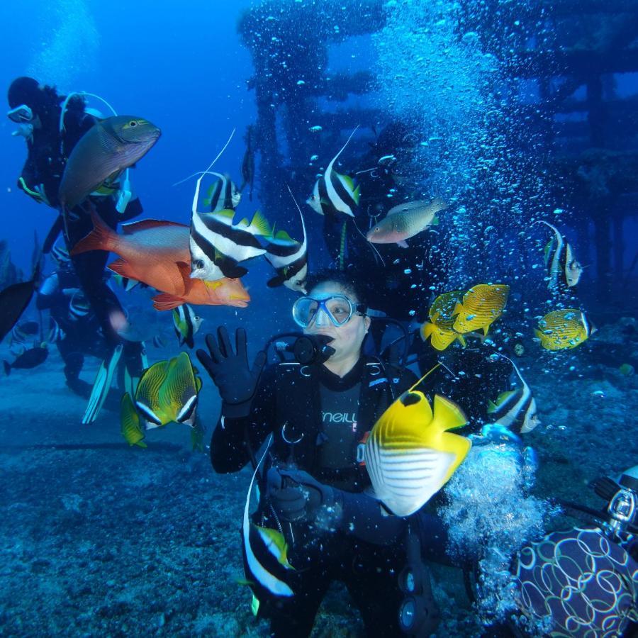 Green Island Ocean Rhythem Dive B&B 綠島海韻民宿 מראה חיצוני תמונה